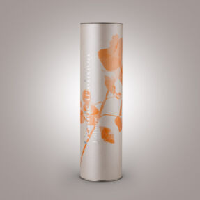 Canister carton - Bouteille Jaillance EM2